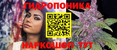 ALPHA PVP Тара