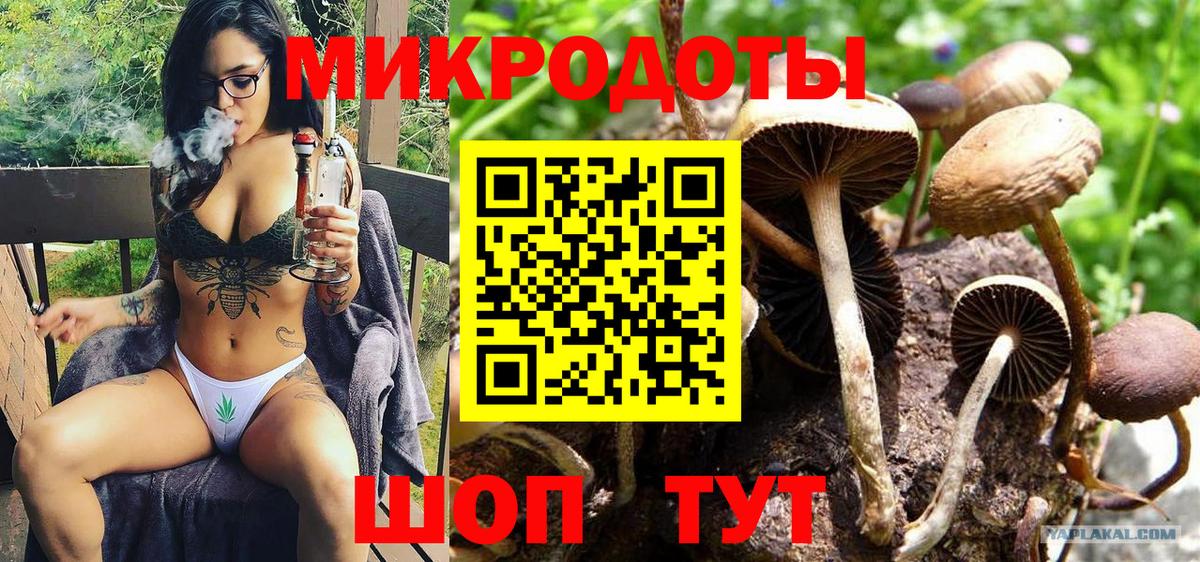 Орехово-Зуево  Псилоцибиновые грибы GOLDEN TEACHER  Вход с VPN 